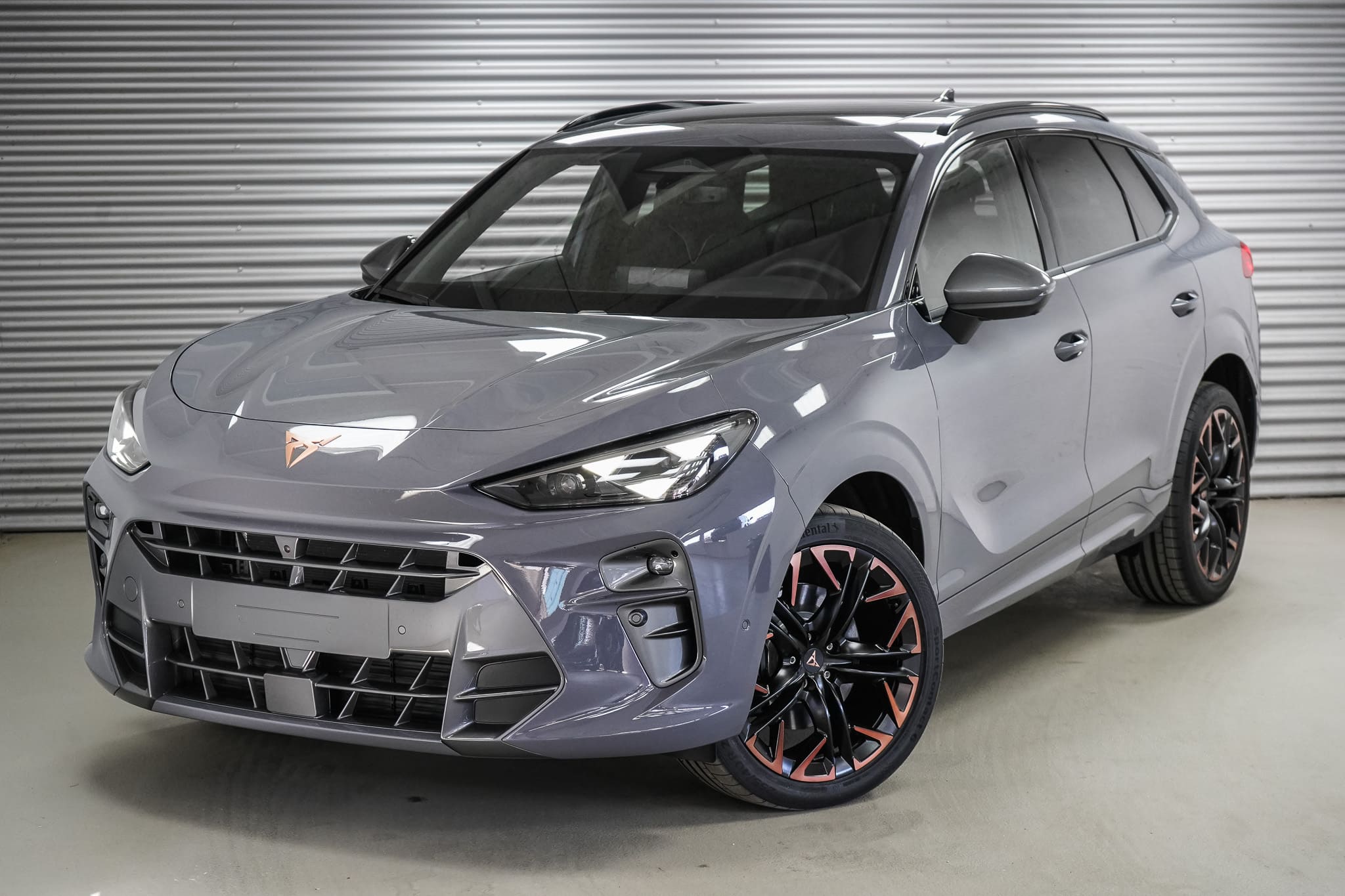 Cupra Terramar 2,0 TSI DSG 4Drive Foto vom Cupra Terramar 2,0 TSI DSG 4Drive