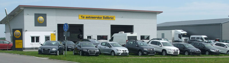 apego 1a autoservice Salibrici in 88370 Ebenweiler apego 1a autoservice Salibrici