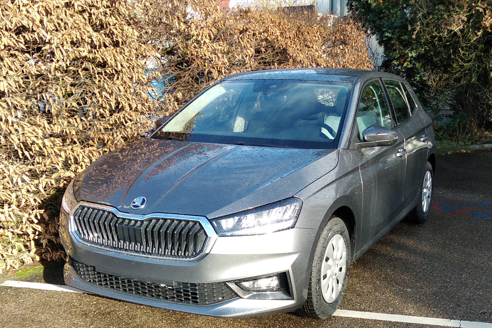 Foto vom Skoda Fabia 1,0 TSI 